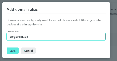 输入自定义域名