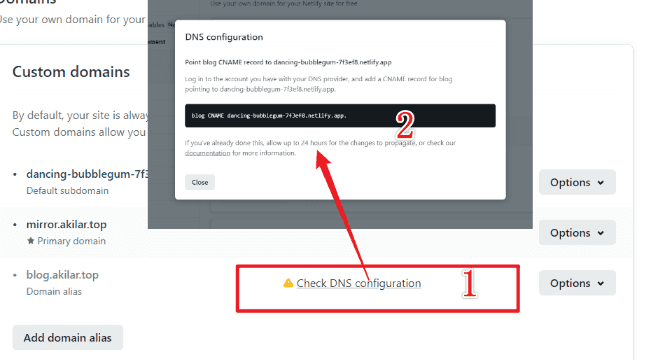 获取解析记录值